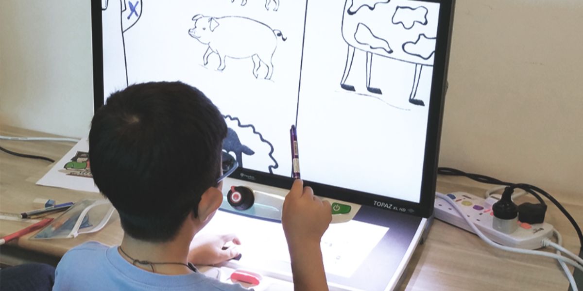 Cover image of Counselling Services for the Visually Impaired (VIs) in Singapore
