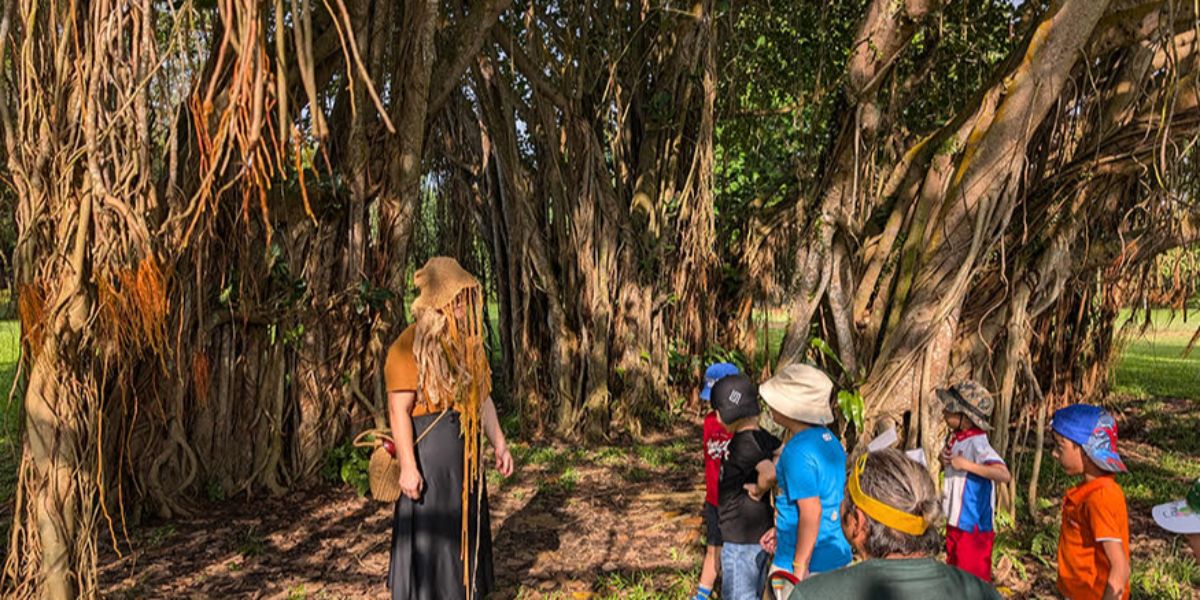 Cover image of Into the Wild: An Inclusive Forest & Nature School