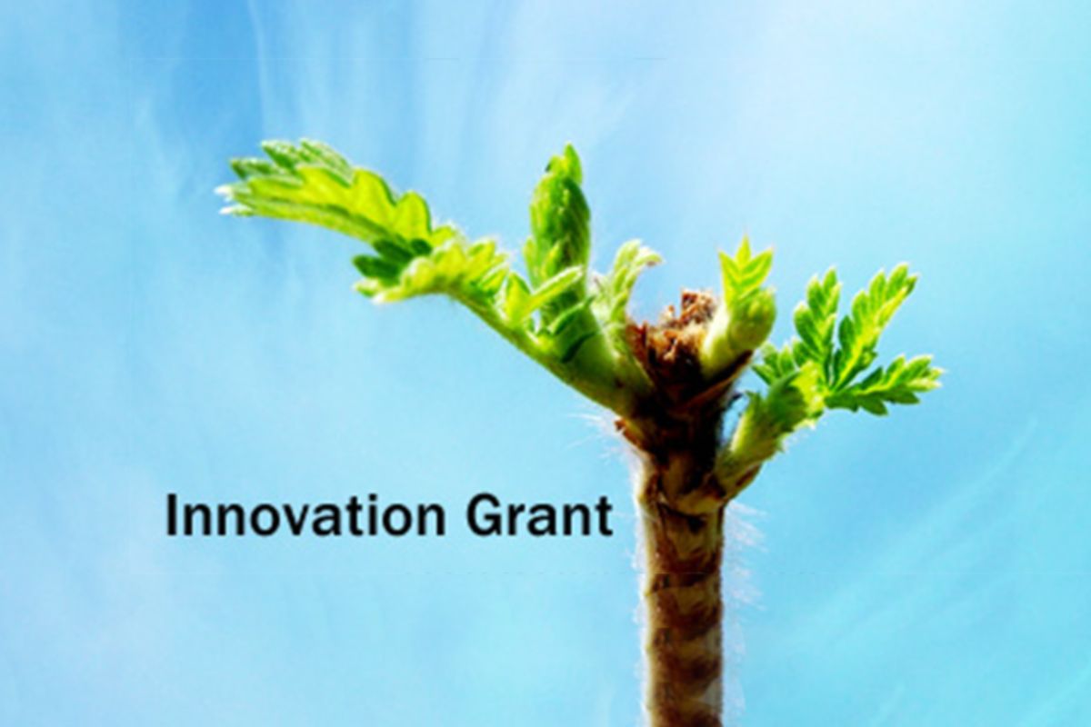 Cover image of Innovation Grant